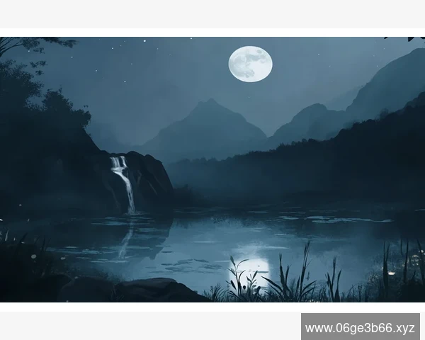 B2B代运营核心服务内容全览